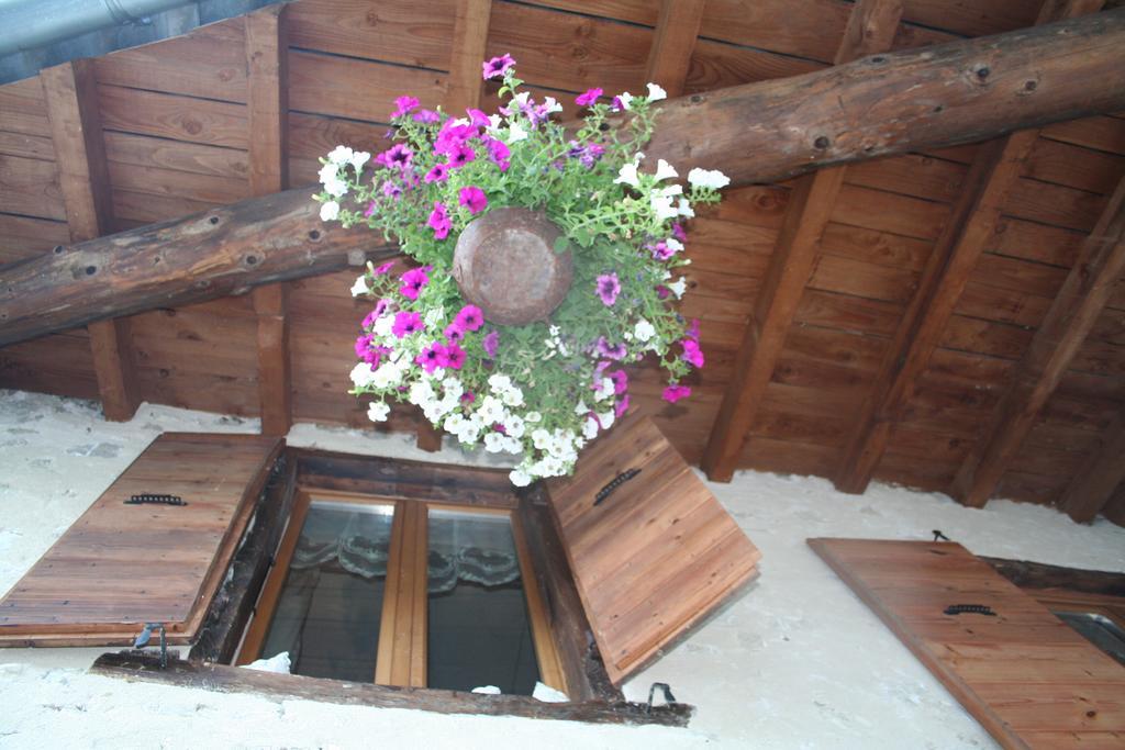 Chambre d'hôtes La Romarine Barnave Exterior foto
