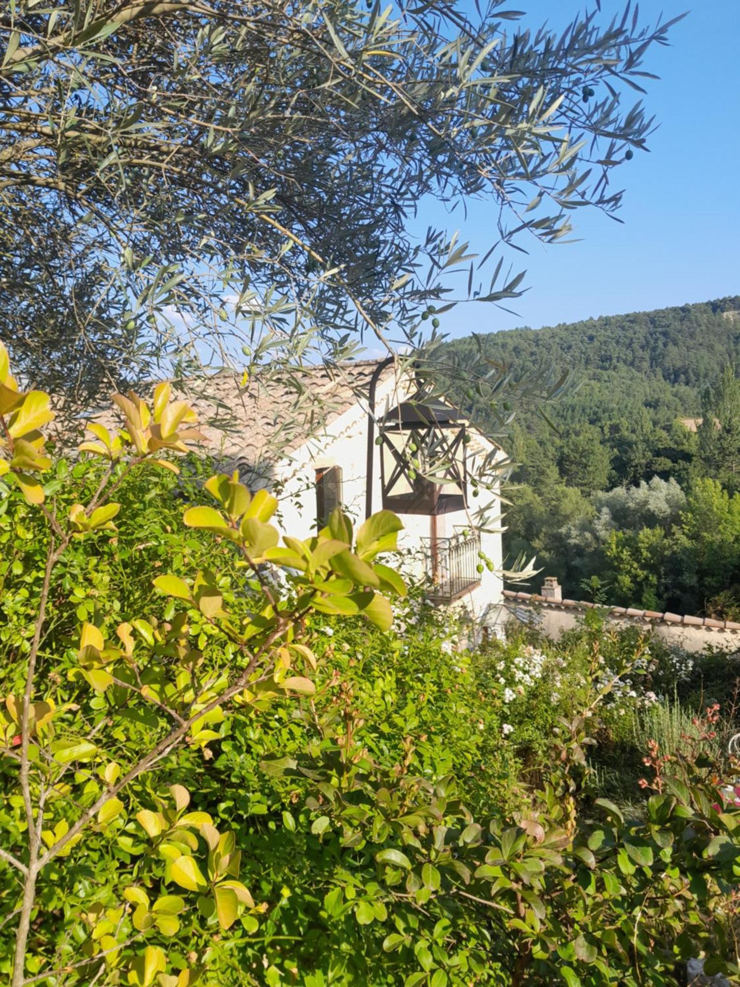 Chambre d'hôtes La Romarine Barnave Exterior foto